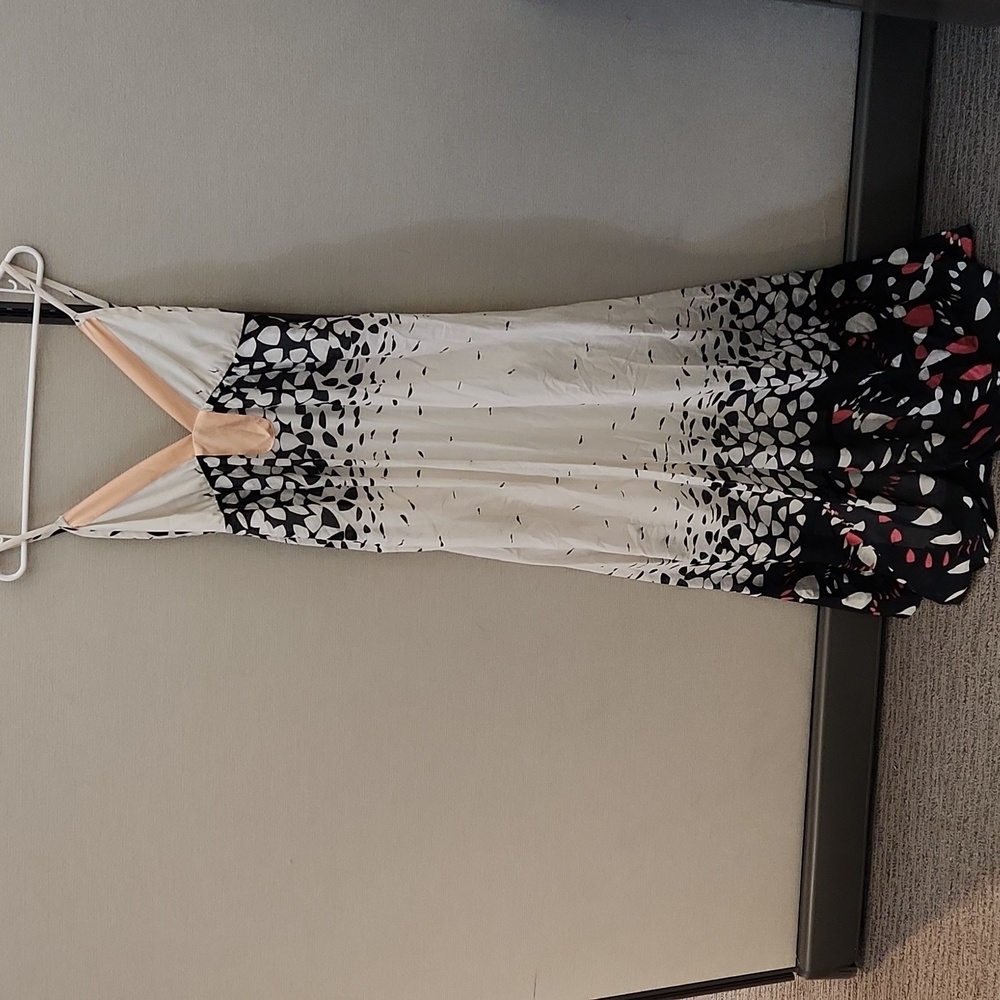 Twinkle By Wenlan Maxi Dress Size 2